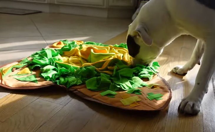 Best snuffle mat for dogs