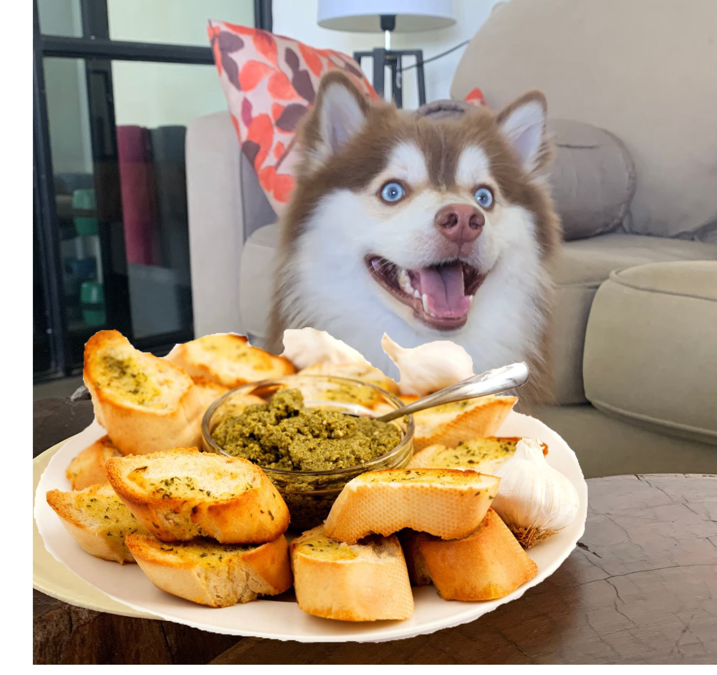 Can dogs eat garlic bread